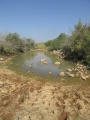 תמונה ממוזערת לגרסה מתאריך 16:36, 6 במאי 2015