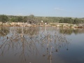 תמונה ממוזערת לגרסה מתאריך 17:38, 14 בדצמבר 2011