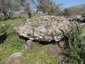 תמונה ממוזערת לגרסה מתאריך 12:24, 10 באפריל 2016