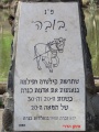 תמונה ממוזערת לגרסה מתאריך 13:12, 15 באוגוסט 2016