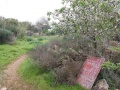 תמונה ממוזערת לגרסה מתאריך 18:23, 9 בפברואר 2017